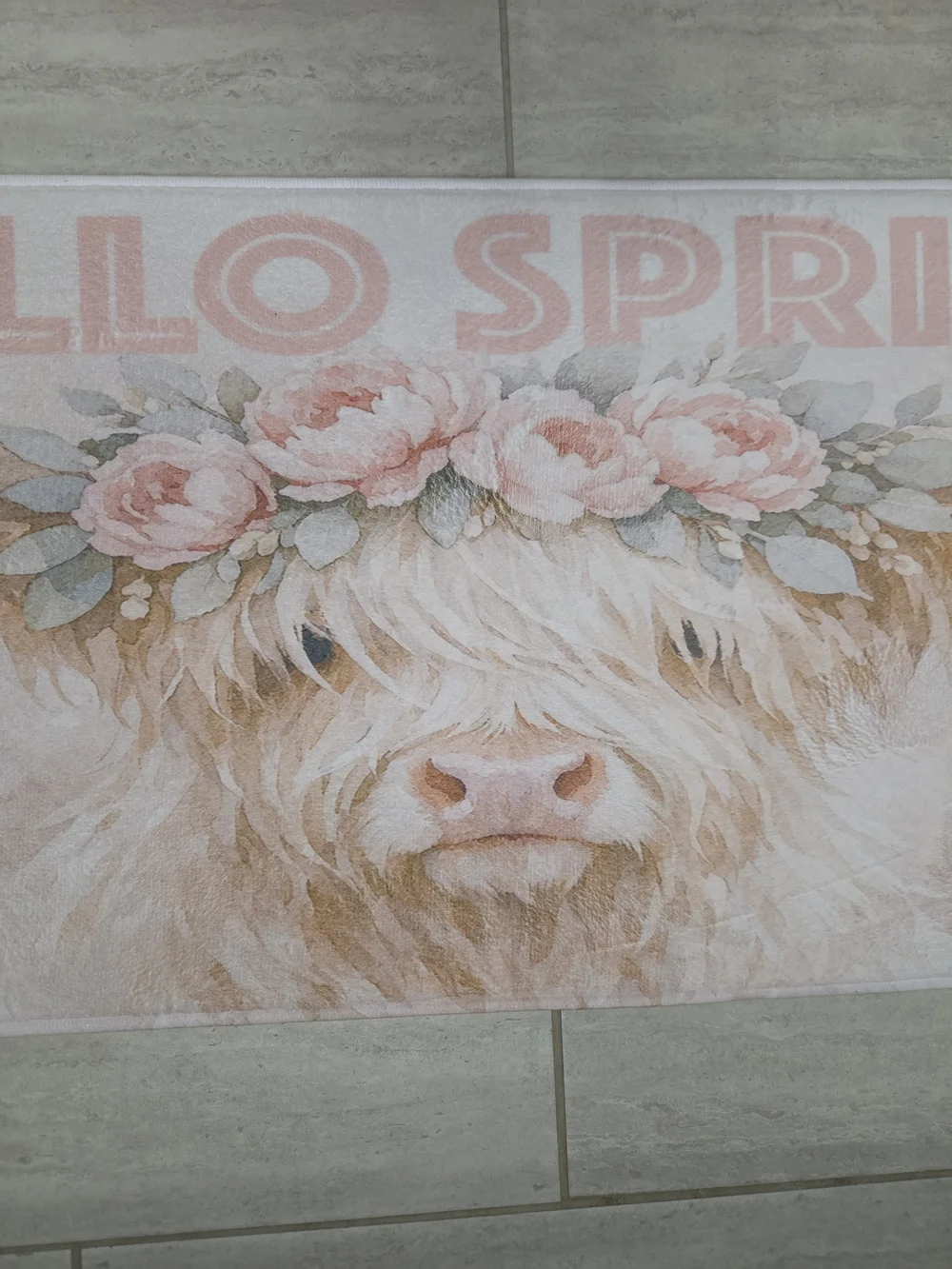 Hello Spring Floral Highland Cow Memory Foam Mat- Pink & Cream